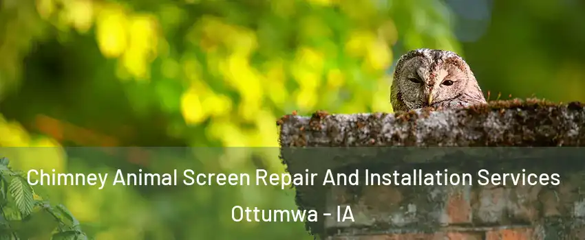  Chimney Animal Screen Repair And Installation Services Ottumwa - IA