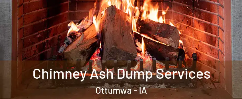  Chimney Ash Dump Services Ottumwa - IA