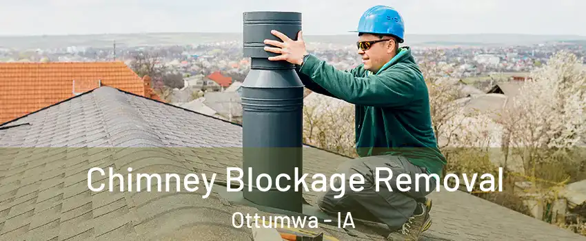  Chimney Blockage Removal Ottumwa - IA