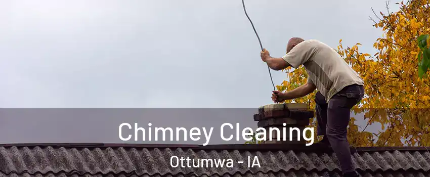  Chimney Cleaning Ottumwa - IA