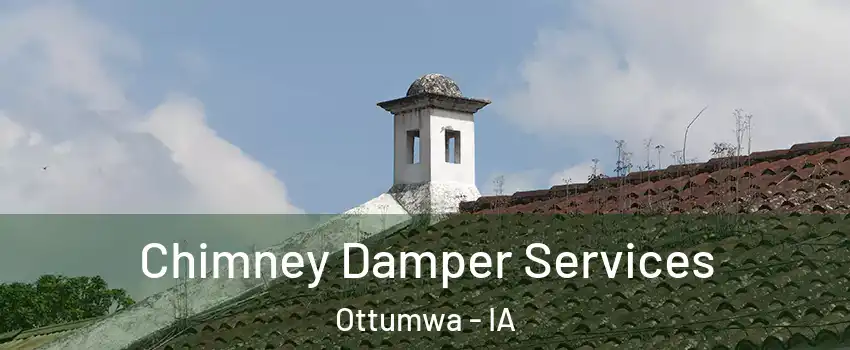  Chimney Damper Services Ottumwa - IA