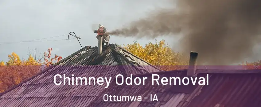  Chimney Odor Removal Ottumwa - IA