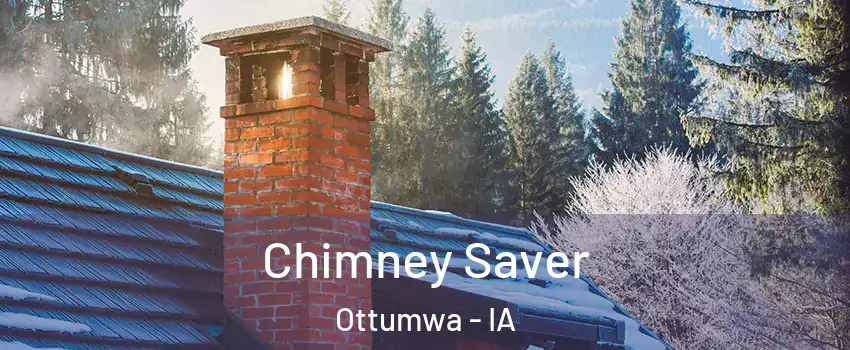  Chimney Saver Ottumwa - IA