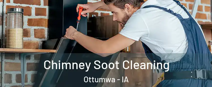  Chimney Soot Cleaning Ottumwa - IA