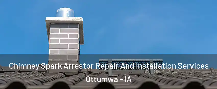  Chimney Spark Arrestor Repair And Installation Services Ottumwa - IA