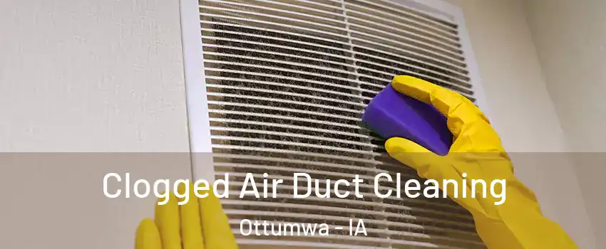  Clogged Air Duct Cleaning Ottumwa - IA