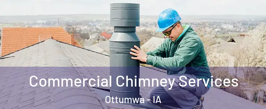  Commercial Chimney Services Ottumwa - IA