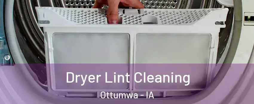  Dryer Lint Cleaning Ottumwa - IA