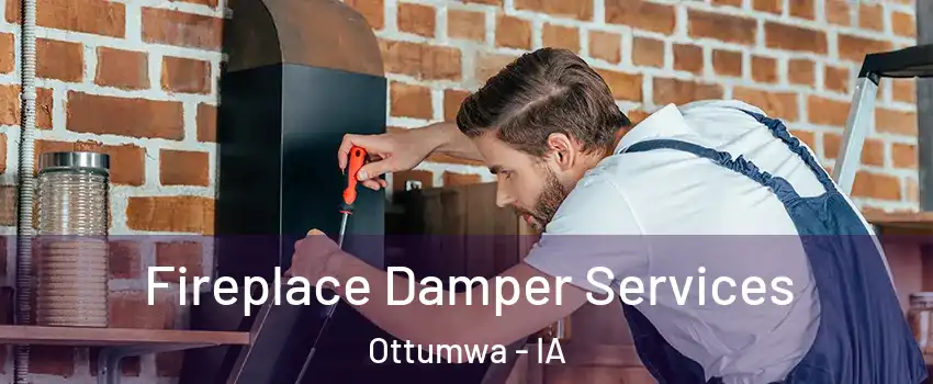  Fireplace Damper Services Ottumwa - IA
