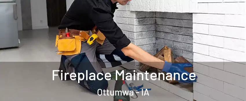  Fireplace Maintenance Ottumwa - IA