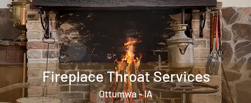  Fireplace Throat Services Ottumwa - IA