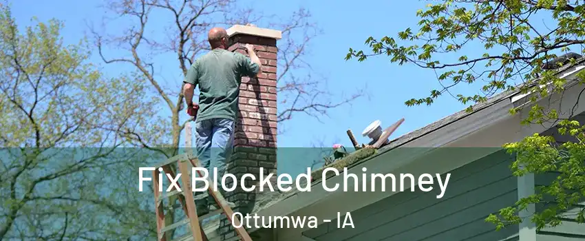 Fix Blocked Chimney Ottumwa - IA