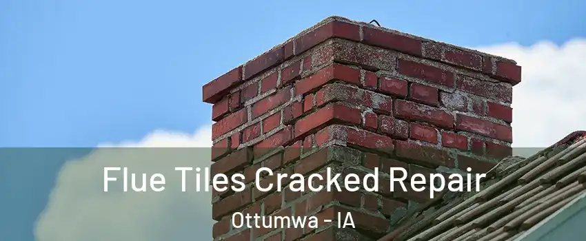  Flue Tiles Cracked Repair Ottumwa - IA