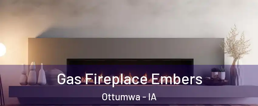  Gas Fireplace Embers Ottumwa - IA