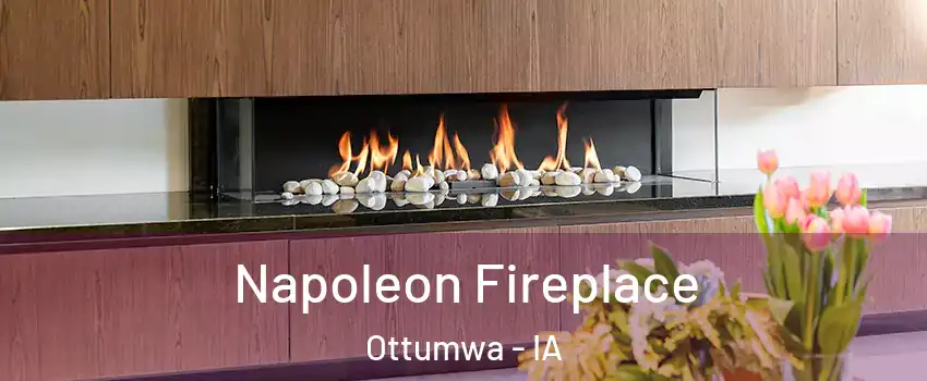  Napoleon Fireplace Ottumwa - IA